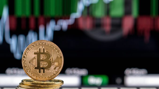 Bitcoin Adoption Grows As Public Firms Raise Holdings In Q1 Bitcoin