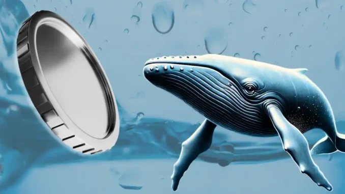 A Whale Enters a Smart Trade on Bitcoin, Ethereum & Whales Turn Bearish on This Popular Altcoin—Will it Plunge by 35% This Month?