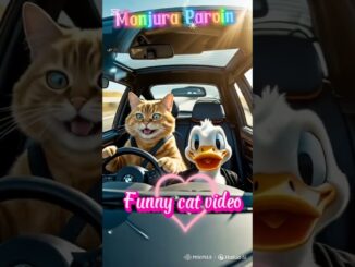 Funny cat video #cat #cartoon #superhero #funny #cute #love #ai #meow #catvideos #news #shortvideo