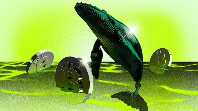 New Bitcoin Whales May Drive Rally as BTC Nears $100,000 New Bitcoin Whales Now Hold Majority of BTC Capital