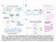 Researchers at UT Austin Introduce Panda: A Foundation Model for Nonlinear Dynamics Pretrained on 20,000 Chaotic ODE Discovered via Evolutionary Search