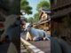 #created #ai #news #sad #cow #trinding #story #vairalvideo #vairalshort