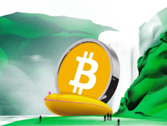 Stablecoin Metrics Show Bitcoin Rally May Be Far From Over