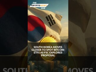 The Crypto News Hub