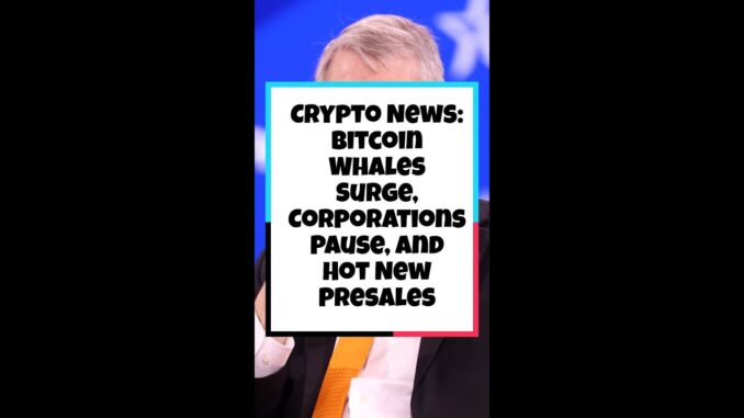 Crypto News: Bitcoin Whales Surge, Corporations Pause, and Hot New Presales