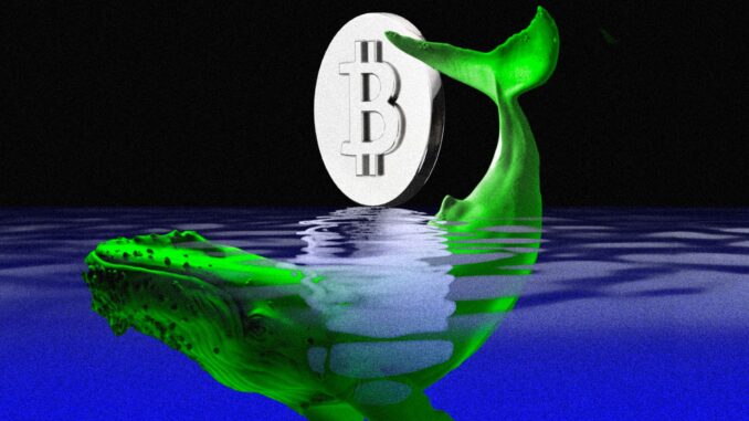 Major Bitcoin Whale Offloads $3.4 Billion 