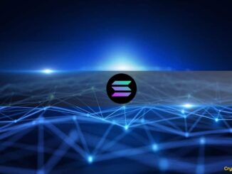 Why Solana Treasury Companies May Outshine BTC and ETH in 2025